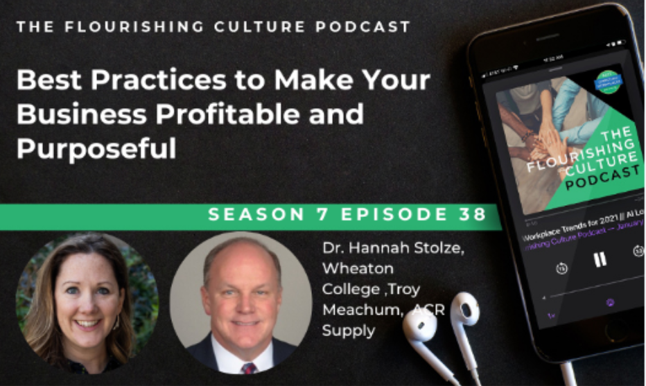 S7E38: Best Practices to Make Your Business Profitable and Purposeful